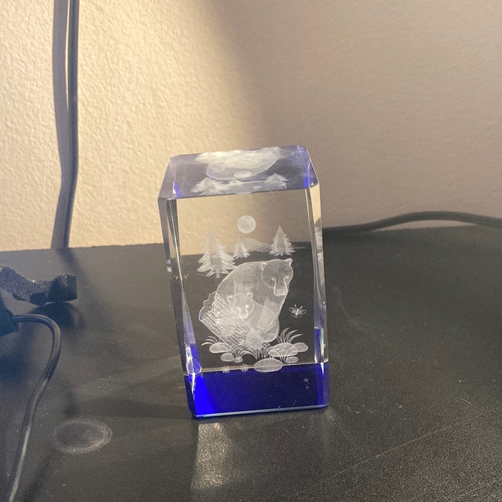 Laser etched hologram glass bears